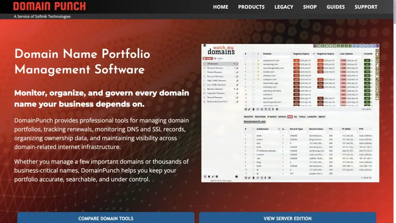 DomainPunch website homepage captured in July 2026